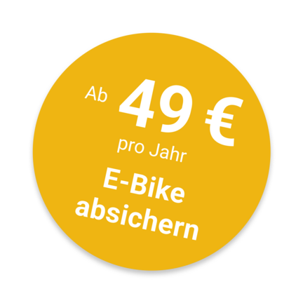 Störer E-Bike Desk