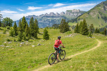 Eine Person fährt mit ihrem Fahrrad einen schmalen Radweg durch die schweizer Landschaft. Grüne Wiesen sind zu sehen und Bäume. Im Hintergrund sind Berge und Täler.