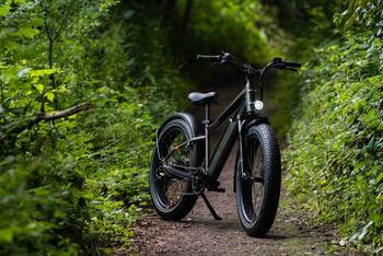Das RadRhino 6 Plus – das Fatbike abseits geteerten Straßen