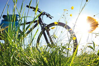 Ein Fahrrad im Rasen