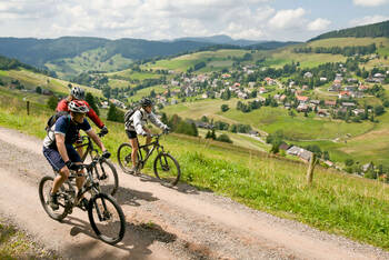 Eine Gruppe von Fahrradfahrern fährt durch die Schwarzwälder Landschaft