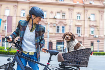 Frau transportiert ihren Hund mit dem Fahrrad