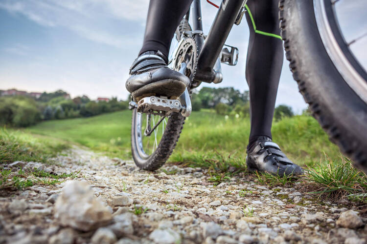 Nahaufnahme eines Fahrradpedals in der Natur