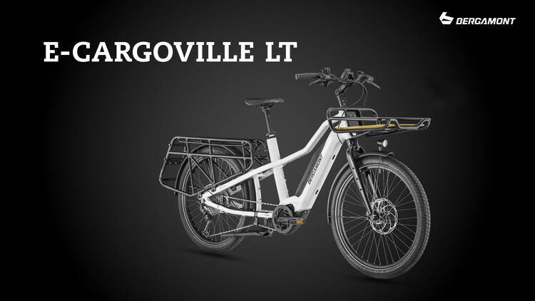 Bergamont E-Bike