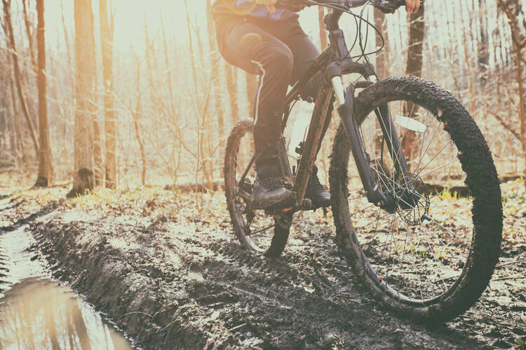 Bergauffahren beginnt im Kopf Ein Fahrrad im Walde
