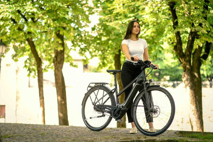 Das Dutch ID E-Bike