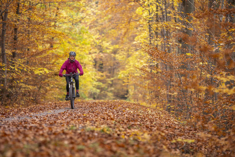 Frau fährt auf dem Fahrrad durch den herbstlichen Wald