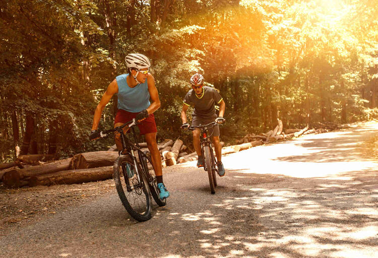 Zwei Männer fahren sportlich mit dem Mountainbike.