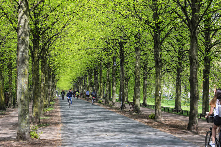 Fahrradfahrer fahren auf einer Promenade in Münster 