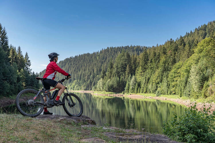 Eine Person steht mit seinem Fahrrad im Wald
