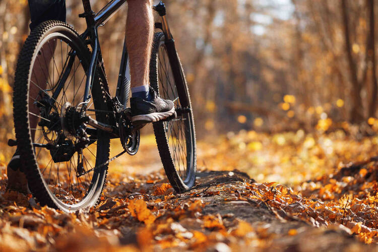 Mann auf Fahrrad fährt über Waldweg mit viel Laub.