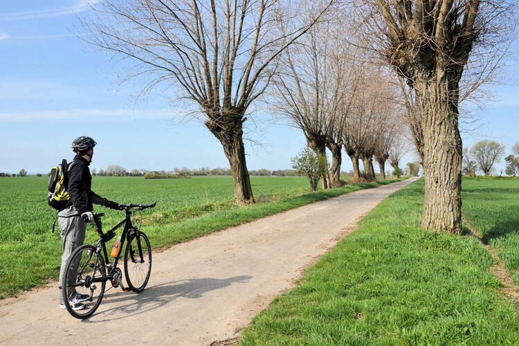 Ein Radfahrer möchte über eine Landschaft fahren