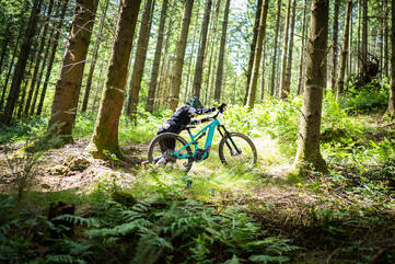 E-Mountainbike von WHYTE Bikes