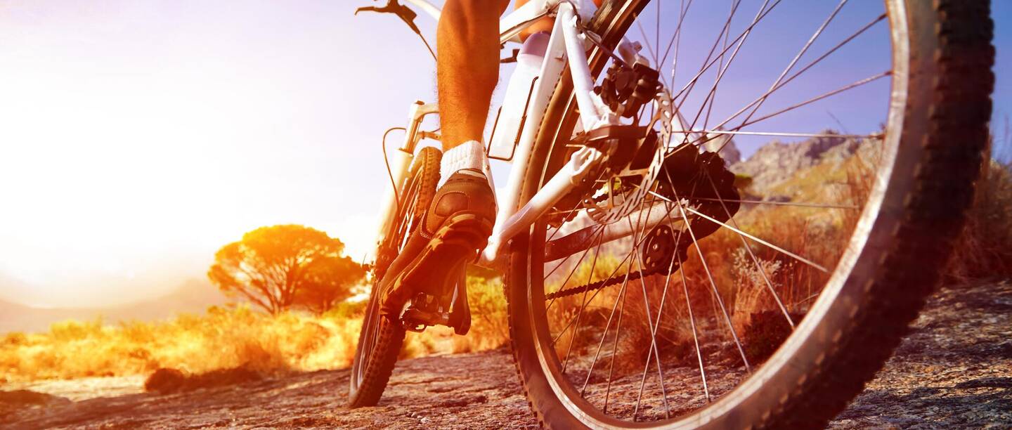 Downhill Bike