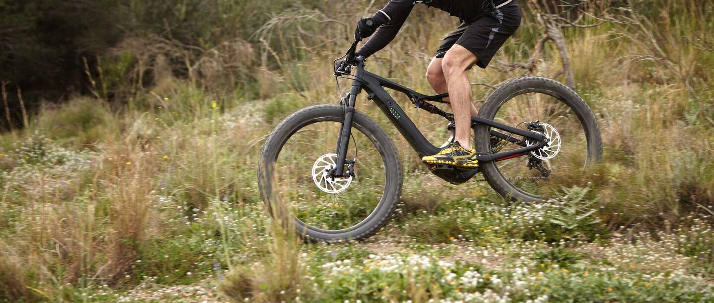 E-Downhill Bikde