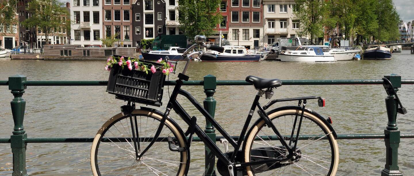 Hollandrad