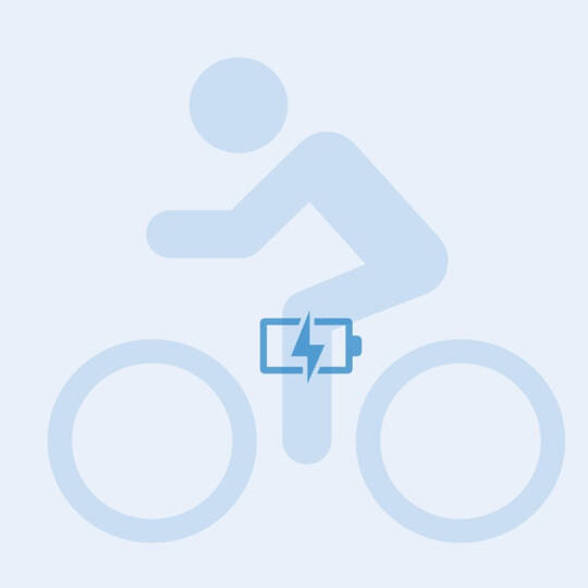 E-Bike fahren in Europa