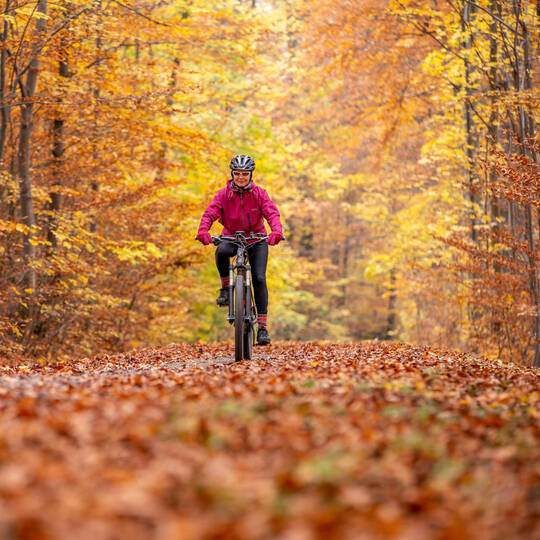 Person fährt im Herbst Fahrrad