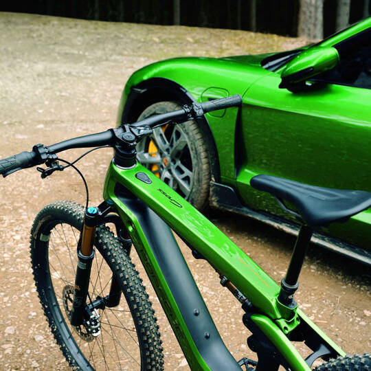 Posche E-Bike – Mambagrün Metallic